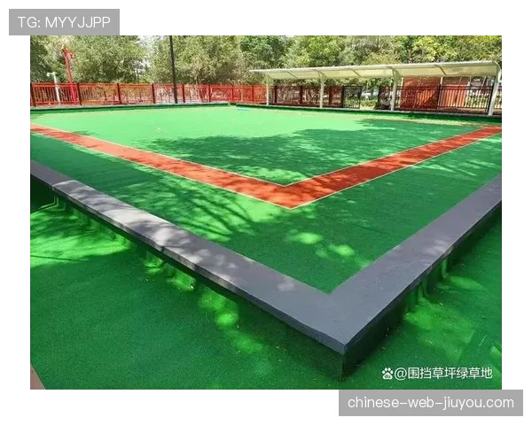 人造草坪渗透率超61%，推动曲棍球场馆标准化建设